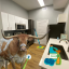 Bevo in an apartment kitchen holding a scrub brush. Various cleaning supplies on the counter and a mop in the background. 