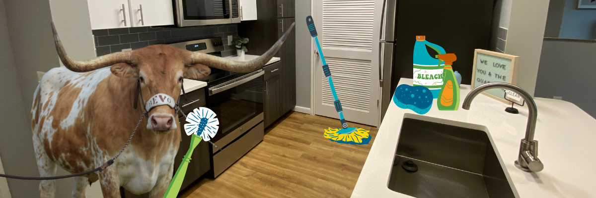 A photoshopped Bevo in an apartment kitchen holding a scrub brush. A Mop and cleaning supplies are also featured. 