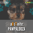 "aUsTinite: Pawpalooza" text over a picture of a small dog and paw prints