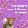 "Will you Bevo mine at Charmed by Austin" text  with a picture of Bevo wearing a heart tiara and lots of hearts around him. 
