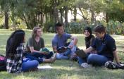 Students sitting in the grass reading books