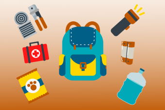 Graphics of a backpack, can of food, can opener, first aid kit, pet food, flashlight, batteries, and water jug on an orange background