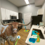 Bevo in an apartment kitchen holding a scrub brush. Various cleaning supplies on the counter and a mop in the background.